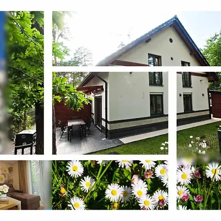 Daisy - Sunny Flowers Holiday home Lukecin